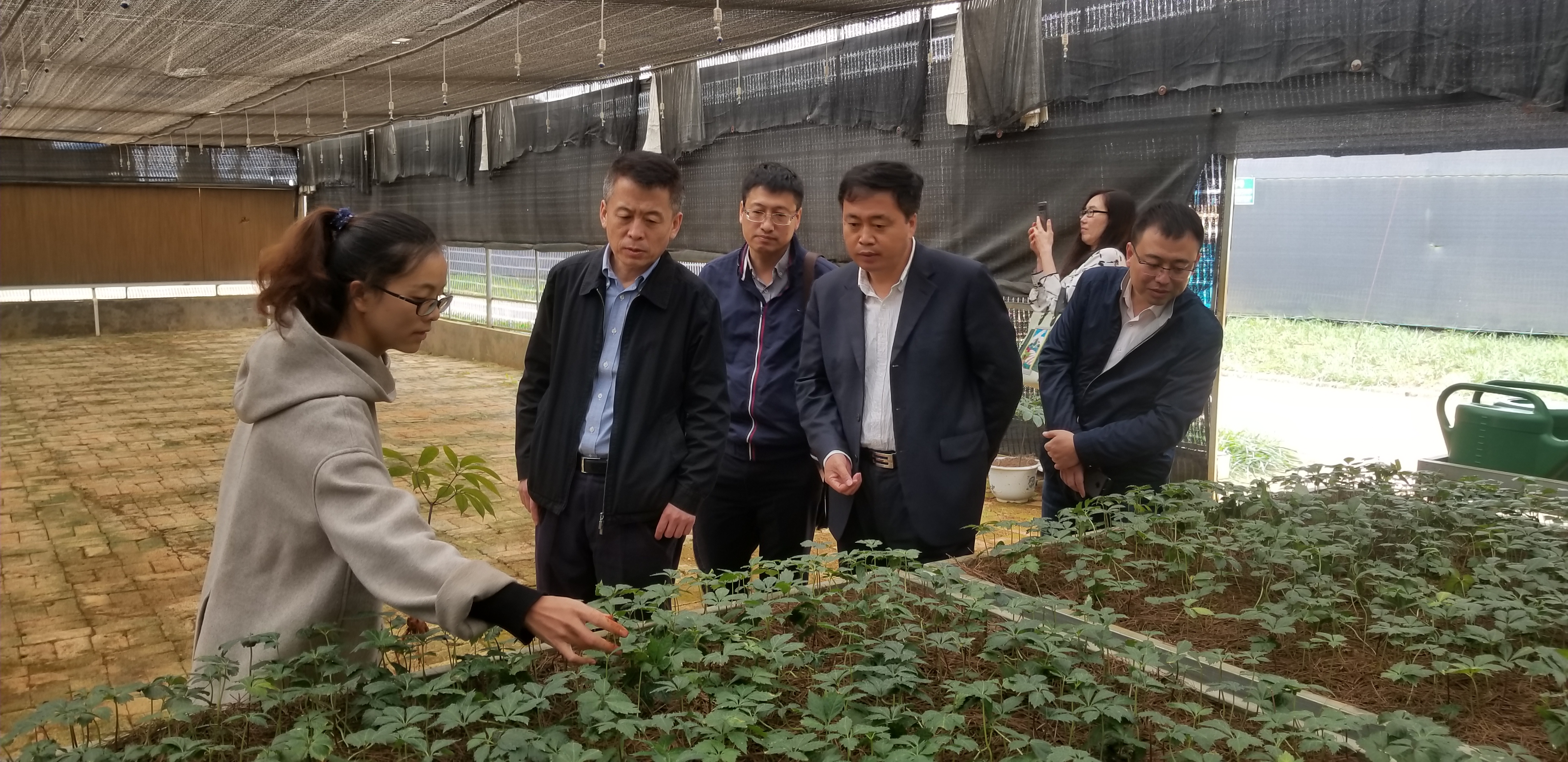 尊龙凯时-人生就是搏!