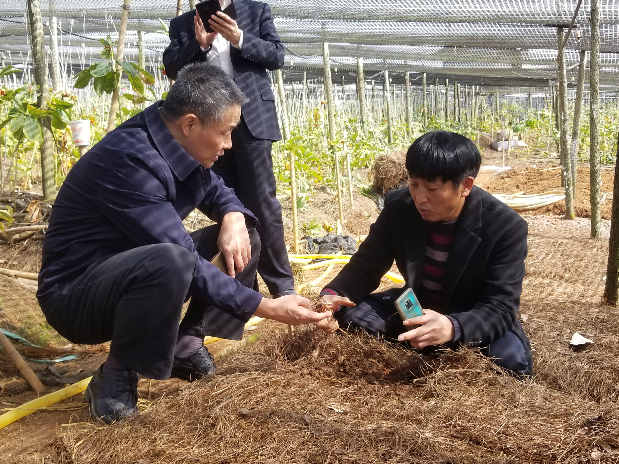 尊龙凯时-人生就是搏!