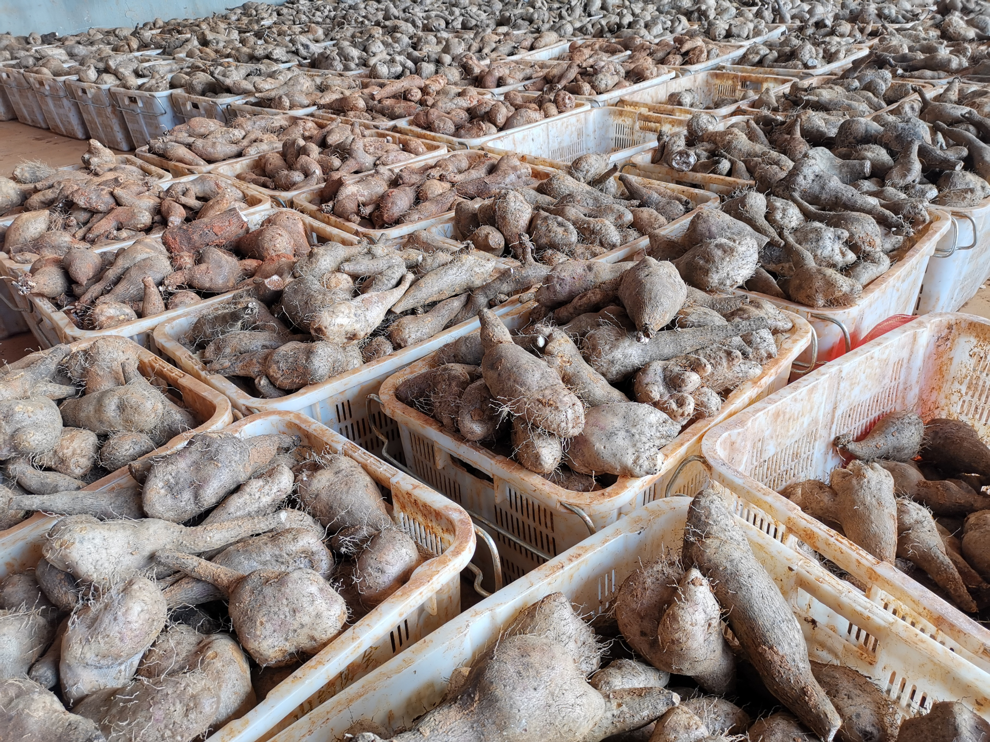 尊龙凯时-人生就是搏!